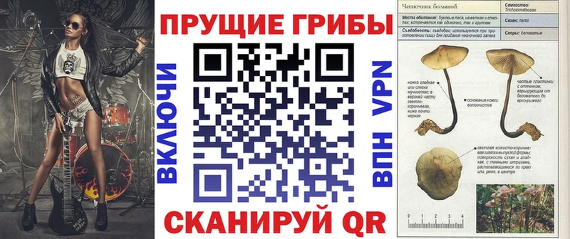 Галлюциногенные грибы Psilocybe  blacksprut tor  Камышлов 