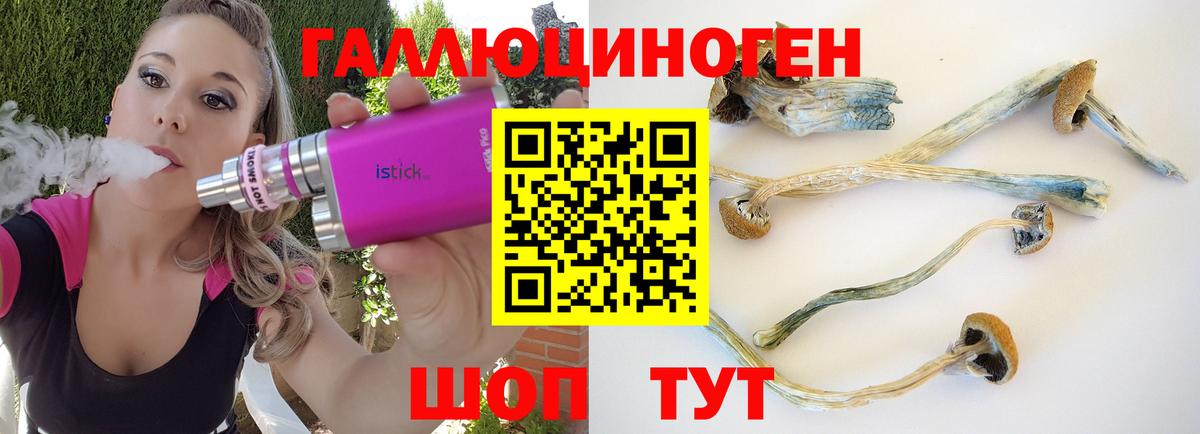 Галлюциногенные грибы мухоморы Камышлов