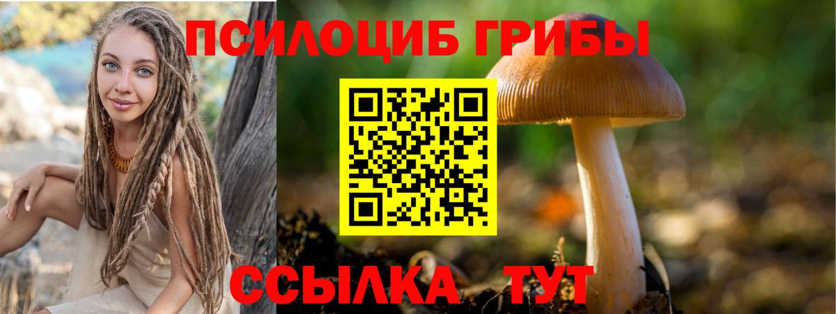 Галлюциногенные грибы Psilocybine cubensis  Вход с VPN  Камышлов  Галлюциногенные грибы Cubensis 